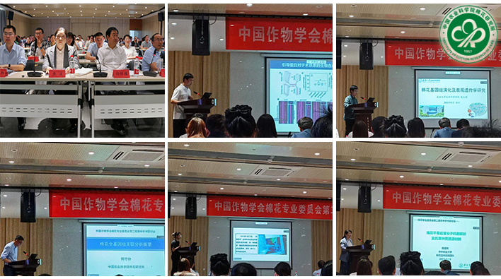 6合一.jpg