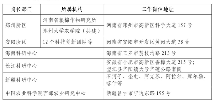 纽约国际上网导航2023年高层次人才招聘公告_02.jpg