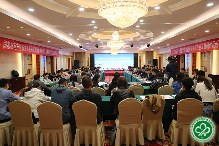 111-小.jpg