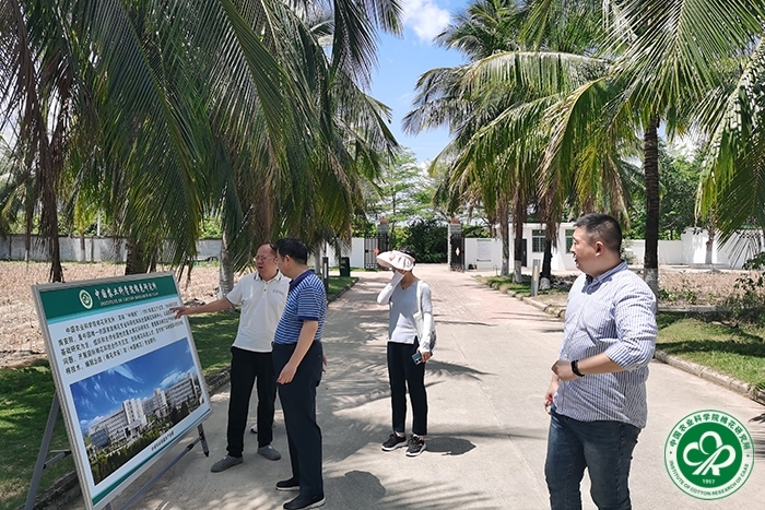 调研大茅基地xiu.jpg